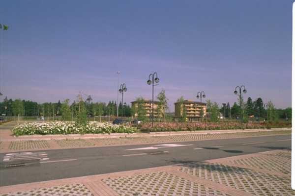 lavori cityflor 048